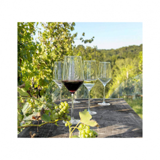 Copa de Vino Tritan (Set 6 Pcs)