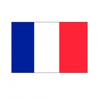 Bandera Francia 20x30cm