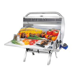 Barbacoa Magma Gas Newport 2 Classic