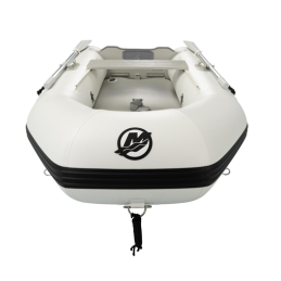 Neumatica Quicksilver 240 Tendy AD