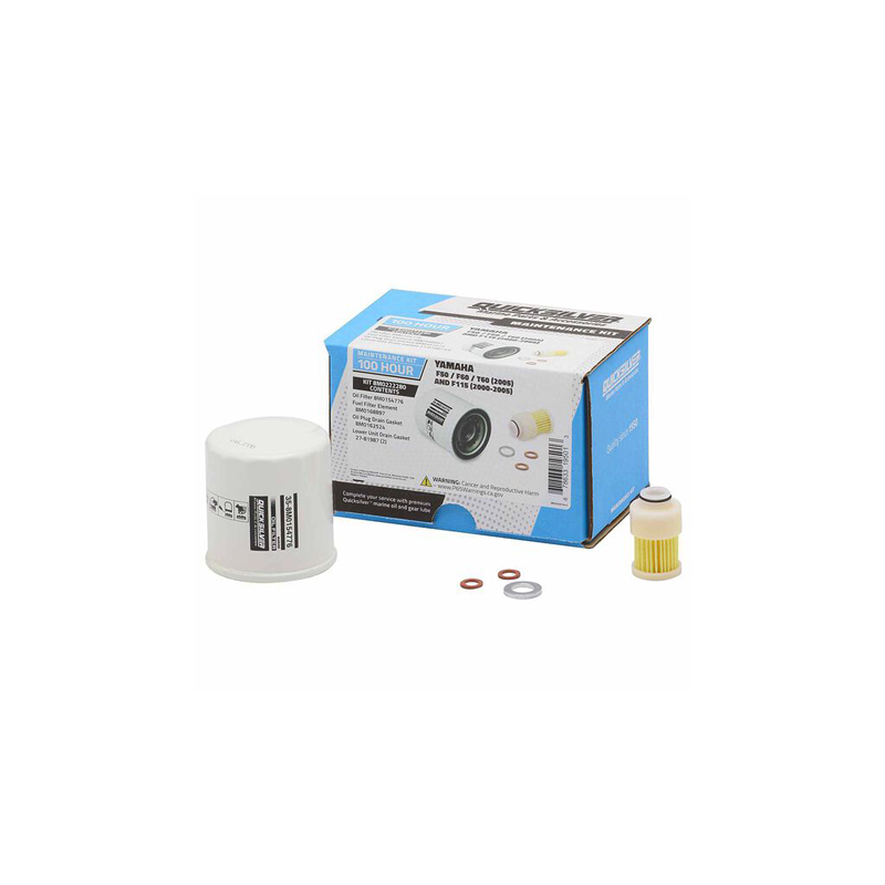 Kit de Mantenimiento Yamaha F50/F60/F155 (100 Horas)