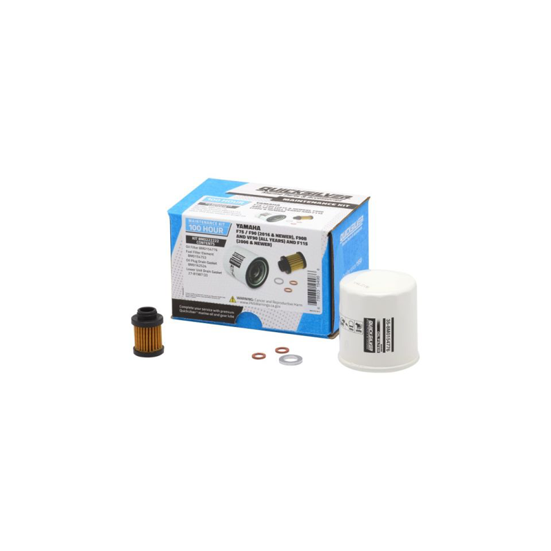 Kit de Mantenimiento Yamaha F75/F90/F115 (100 Horas)