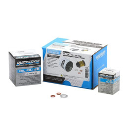 Kit de Mantenimiento Yamaha F50/T50/F60/T60/F70 (100 Horas)